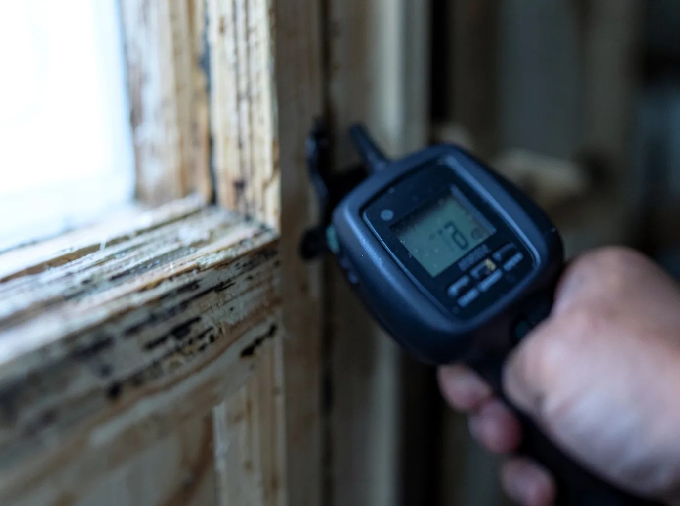 Moisture Inspection And Documentation in Regina, NM